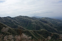 芒花,台灣,茶壺山