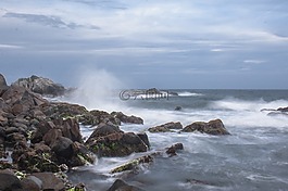 水,mar,李