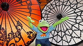 屏幕,油的纸伞,丰富多彩