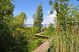 网站,木板路,瑞士