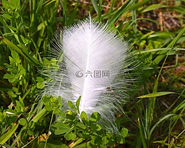 春天,沃克,软
