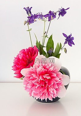 牡丹,五旬节,性质