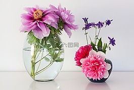 牡丹,五旬节,性质