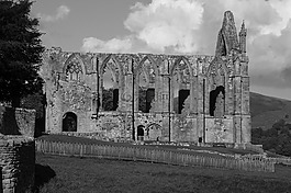 单色,穆迪,废墟