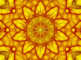 万花筒,花曼陀罗,黄色