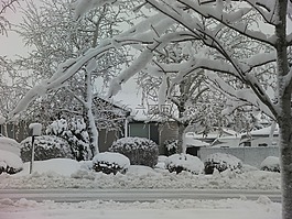下雪天,雪,冬天