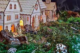 圣诞节,圣诞村,tannenzweig