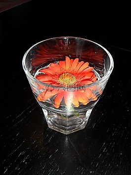 花,橙,橙花