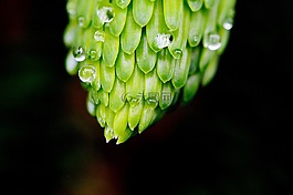 不完整,珠绣,雨