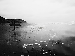 冲浪,海滩,灰度