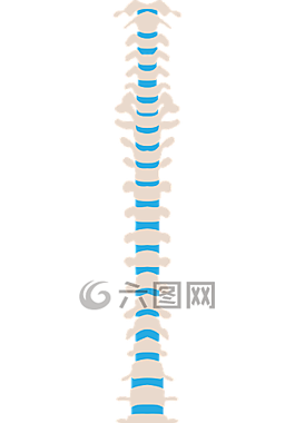 脊柱,医疗,健康