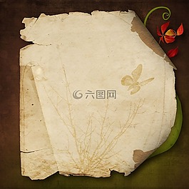 纸,页,旧