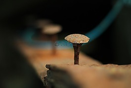 钉,生锈,金属