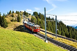 rigi,阿尔姆,碱性磷酸酶