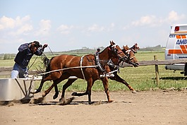 马,战车,batoche