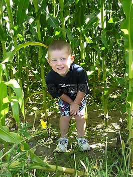 儿童,露营,乐趣