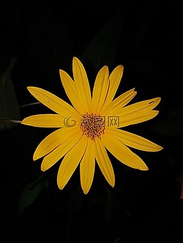 成长,发展,健康