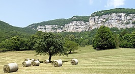 allèves,萨,法国
