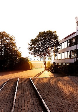 日出,学校,校园
