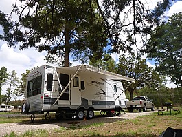 露营,森林,自然