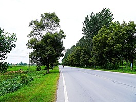 马路,在路上,旅行