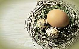 蛋,鸟巢,复活节