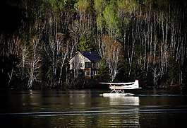 水上飞机,湖,树