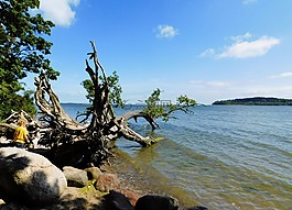 西方前波莫瑞,尔根,波罗的海
