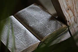 圣经 》,本书,老