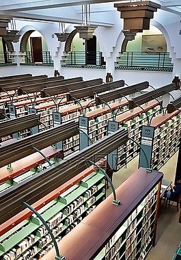 图书馆,图书,文学