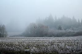 俄勒冈,雪,霜