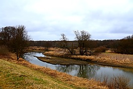 河 odra,树,草