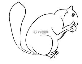 松鼠,动物,素描
