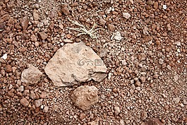 地球,红色的,干