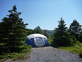 野营,帐篷,景观