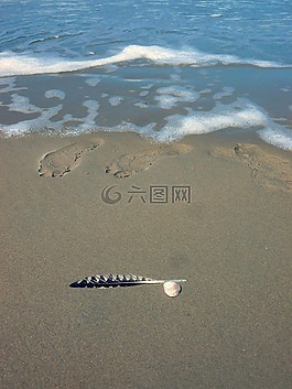 春天,沙,足迹