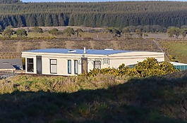 商队,公园,夏天