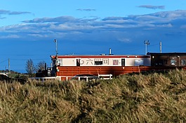 商队,公园,夏天