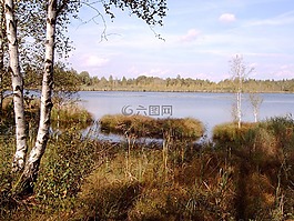 wurzacher芦苇,系泊,湖