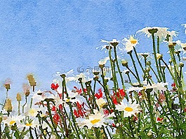 鲜花,水彩,盛开