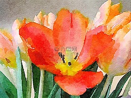 鲜花,水彩,盛开