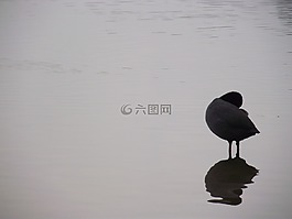 阿维里亚那,湖,阿维里亚那湖