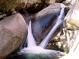 水,饮用水,sed