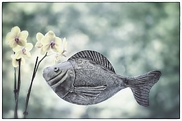 鱼,金属鱼,兰花
