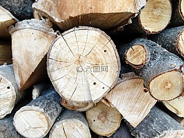 木材,木柴,木桩