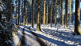 森林,雪,巴特莱昂费尔登