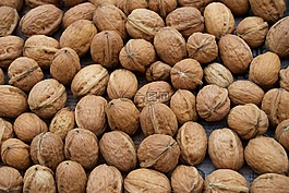 坚果,秋季水果,花园