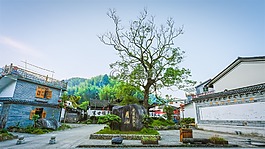 山村,古树,祠堂