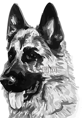 狗,保护,德国牧羊犬