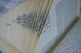 本书,页,纸